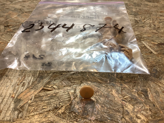 Ascona Clip, Türverkleidung Beige NEU