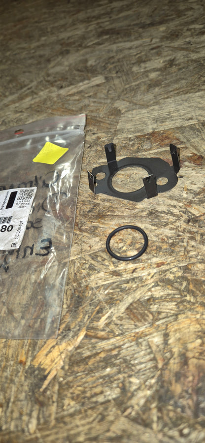 Dichtungssatz Entgiftungsmodul, Citroen, Original Neu