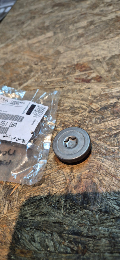 Verschluss Nockenwelle, Astra,Insignia, Original Neu