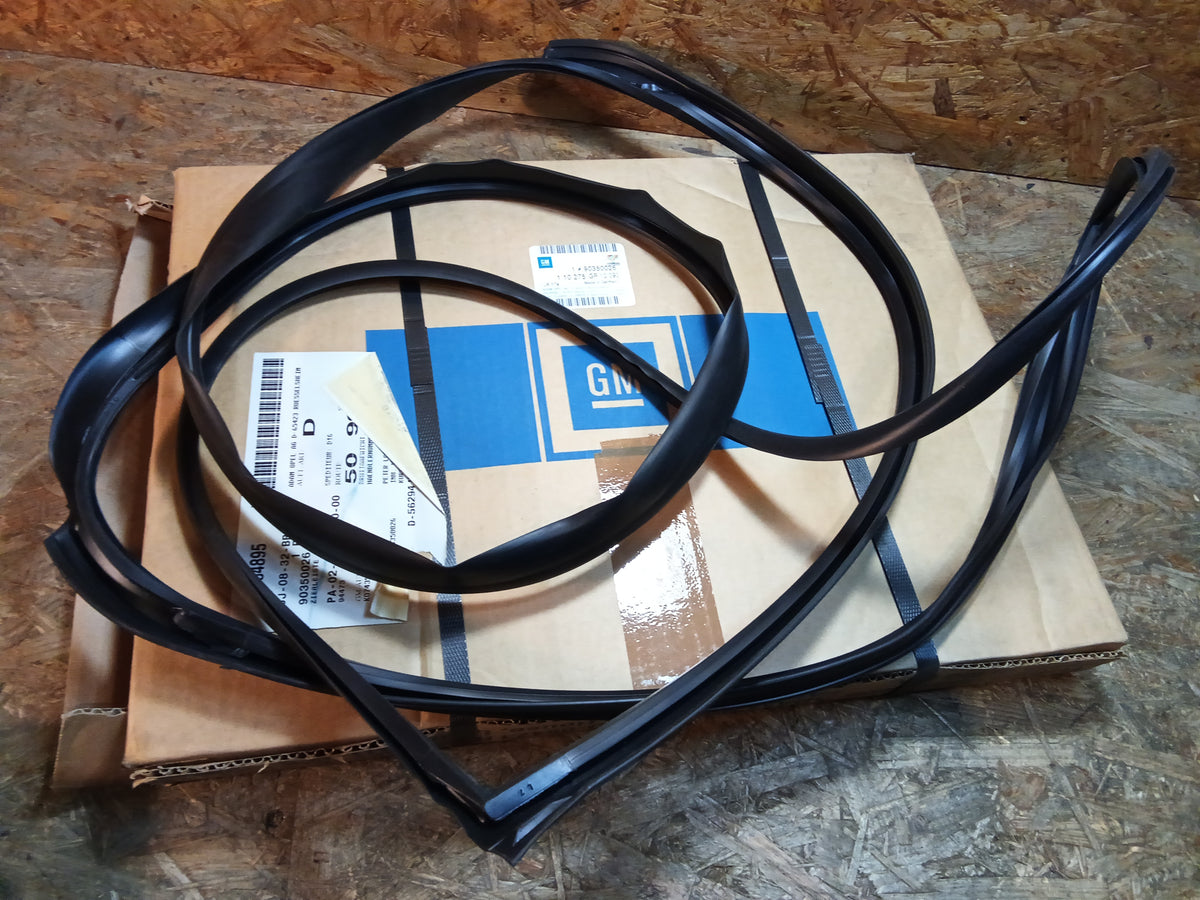 Vectra A BJ 88-95 Gummidichtung Windschutzscheibe original GM NEU