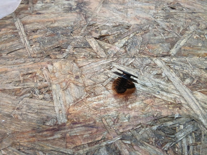 Oldtimer Youngtimer Clip Befestigung Seitenwand original Opel NEU