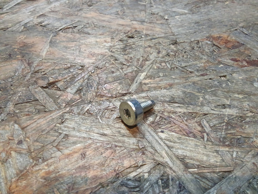 Insignia Schraube Innen-Torx M6x14 Halter Clip Entgasungsschlauch original GM t