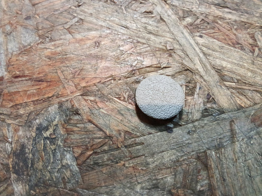 Corsa B Tigra A Omega B Kappe Hecksäulenabdeckung original GM NEU