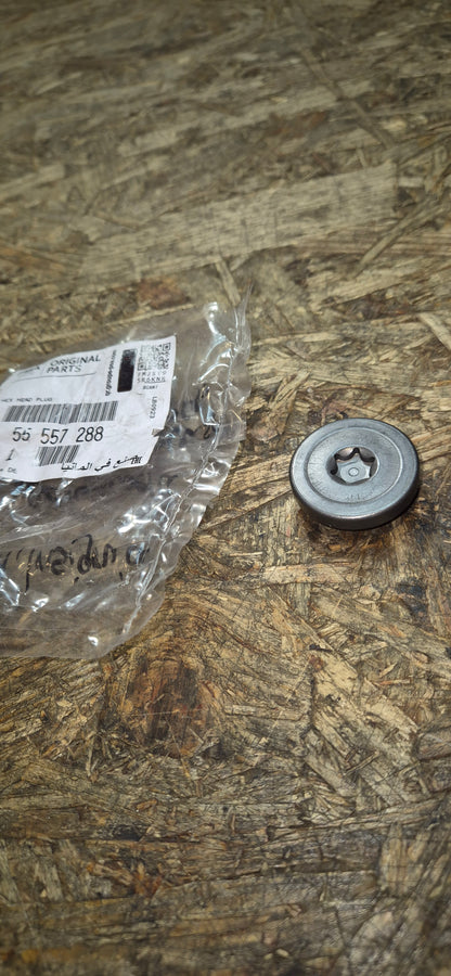 Verschlussstopfen Nockenwelle, Astra, Insignia, Original Neu