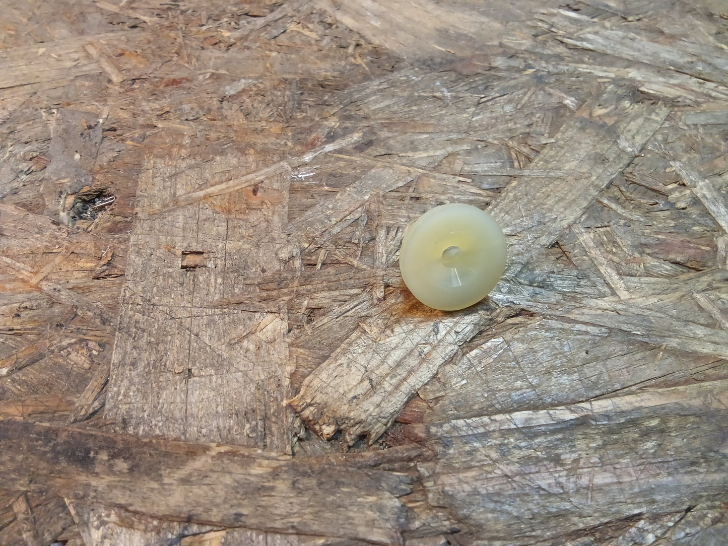 Ford Clip Radlauf Befestigung original Ford NEU