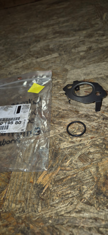 Dichtungssatz Entgiftungsmodul, Citroen, Original Neu
