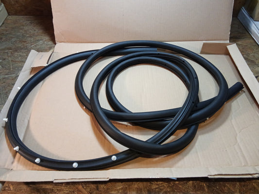 Ford Focus 07-11 Dichtung Kantenschutz Türdichtung vorne rechts original Ford NEU