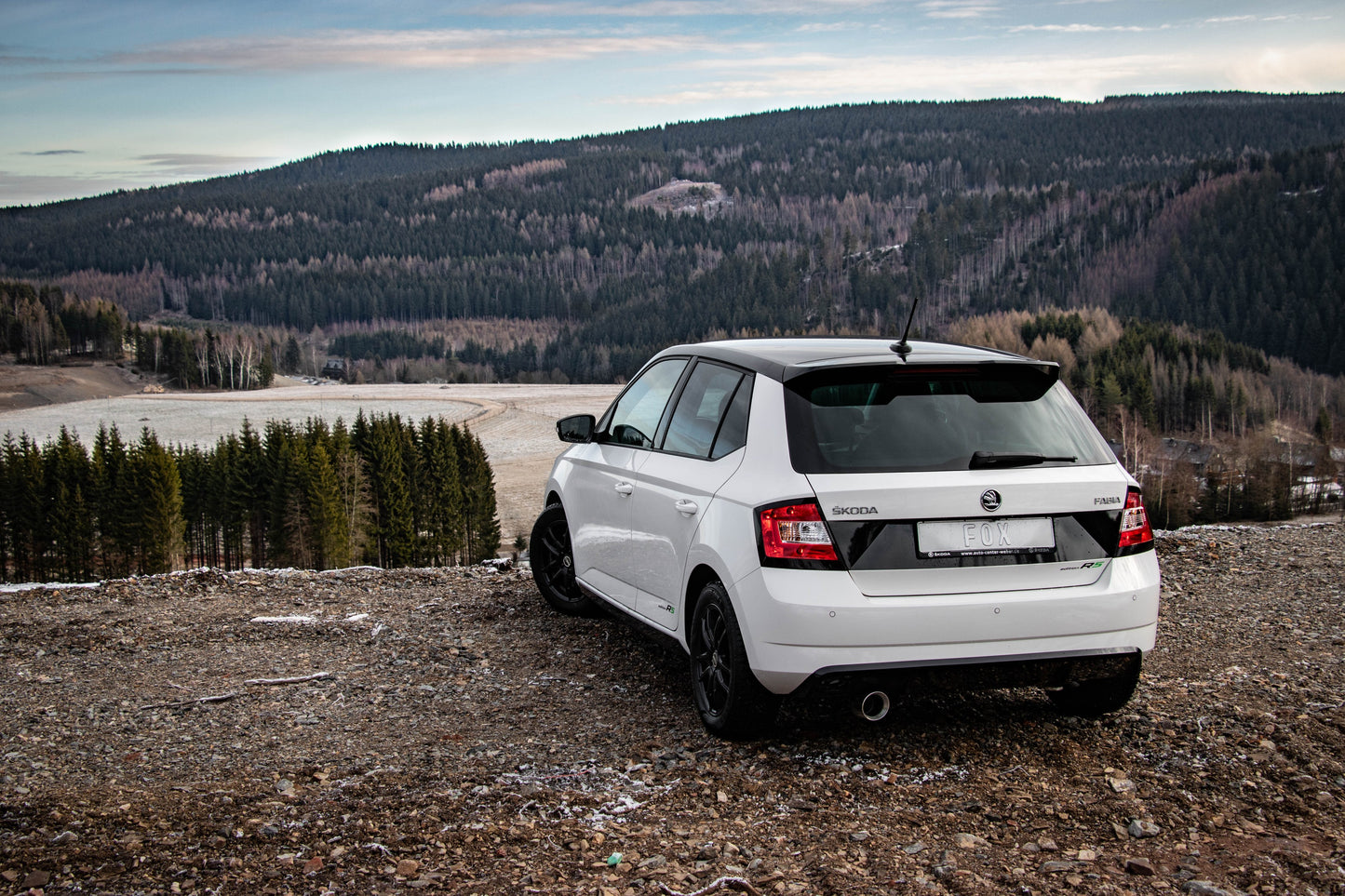 Skoda Fabia NJ R5 Edition Endschalldämpfer - 1x100 Typ 25