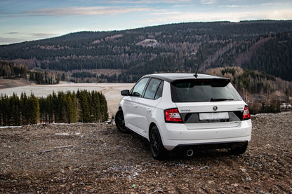 Skoda Fabia NJ R5 Edition Endschalldämpfer - 1x100 Typ 25