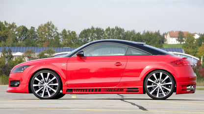 Audi TT (8J) Rieger Seitenschweller  links, mit Schacht und 2 Ausschnitten, ABS, für Fzg. mit S-Line Exterieur und ohne S-Line Exterieur, 
inkl. Alugitter, Gutachten, Montagezubehör