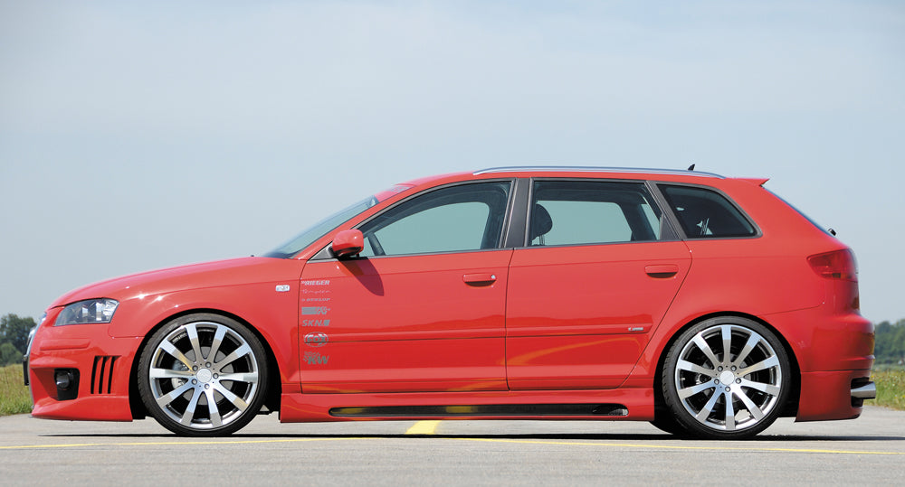 Audi A3 (8P) Rieger Seitenschweller  rechts, mit Schacht, mit Ausschnitt, ABS, Carbon-Look, 
inkl. Alugitter, Montagezubehör, ABE