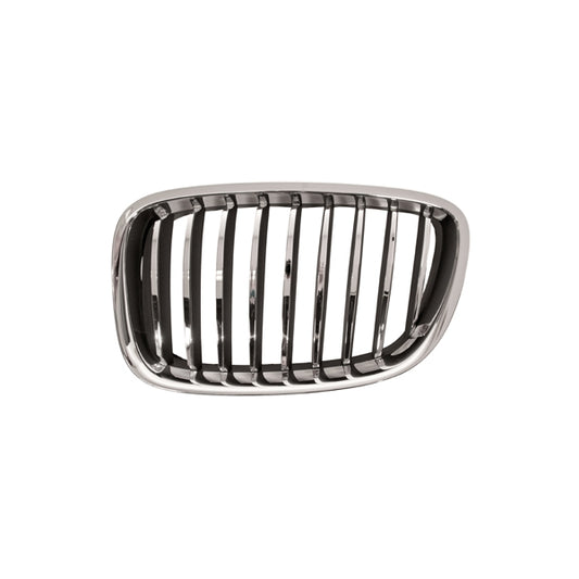 Kühlergrill Kühlergitter Grill links für BMW 5er GT F07 Vorfacelift 2009-2012