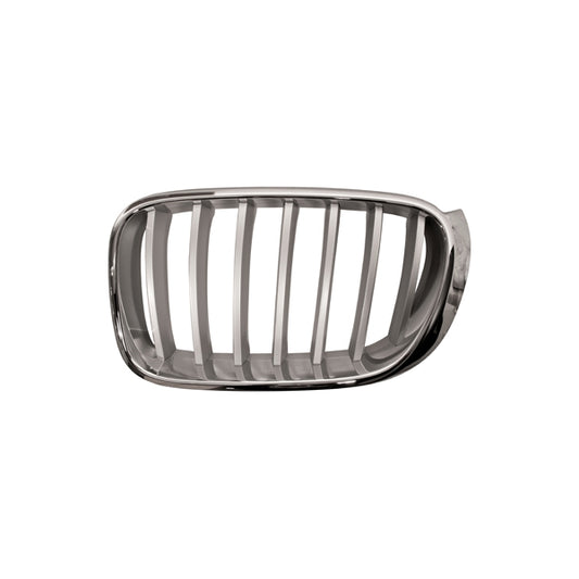 Kühlergrill Kühlergitter Grill links passt für BMW X3 F25 Baujahr 2014-2017