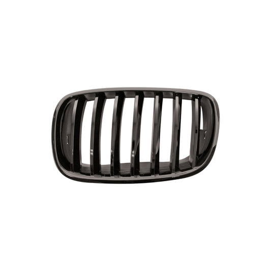 Kühlergrill Kühlergitter Grill links passt für BMW X5 M E70 Baujahr 2007-2010
