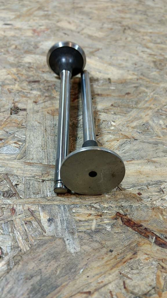 Original GM Opel Auslassventil Omega A 2.3Diesel NEU