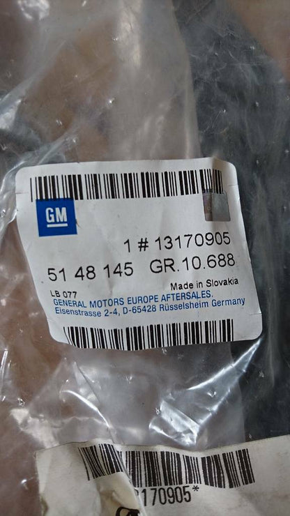 Opel Meriva A Dichtung Fensterführung vorne rechts neu original GM