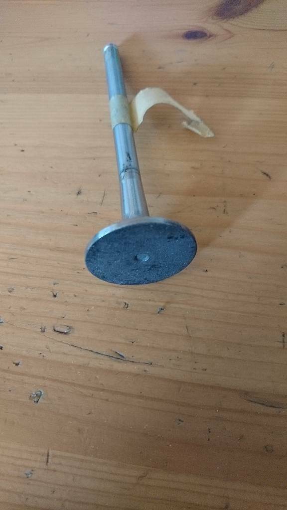 Frontera A Omega A 2.3 Diesel Auslassventil Neu Original GM