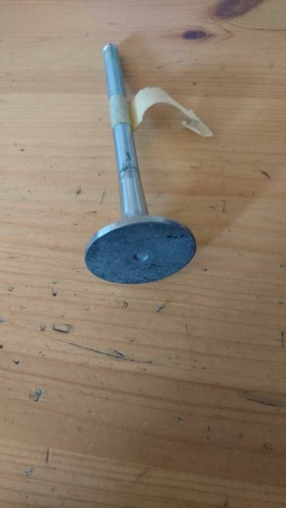 Frontera A Omega A 2.3 Diesel Auslassventil Neu Original GM