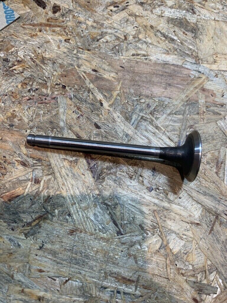 Original GM Opel Ascona C Corsa A Kadett E Auslassventil Neu