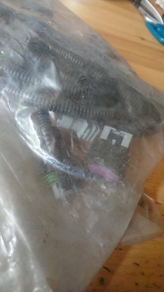 Meriva A Z16SE Motorkabelbaum neu Original gm