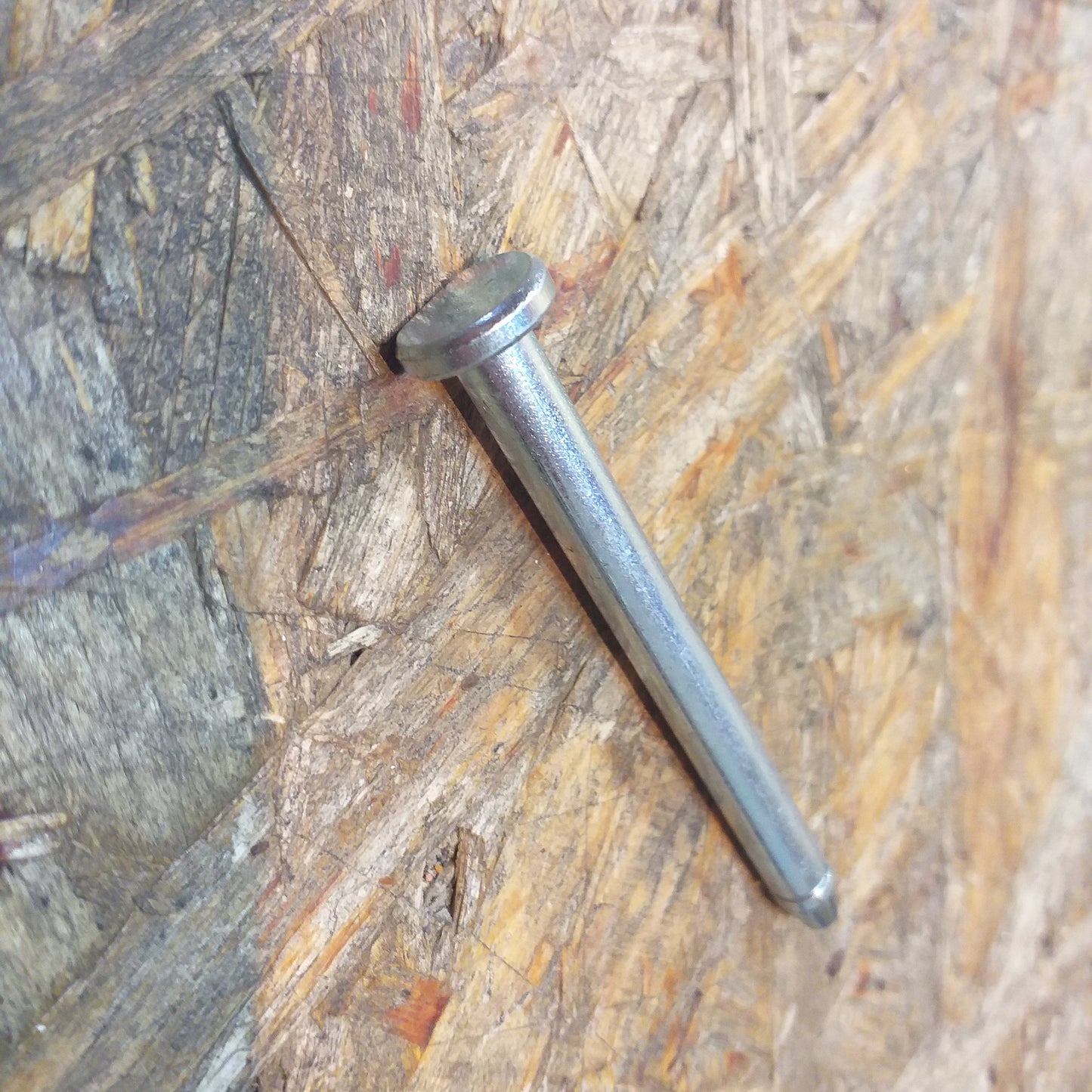 Chevrolet Malibu LT Scharnierbolzen original GM Opel NEU