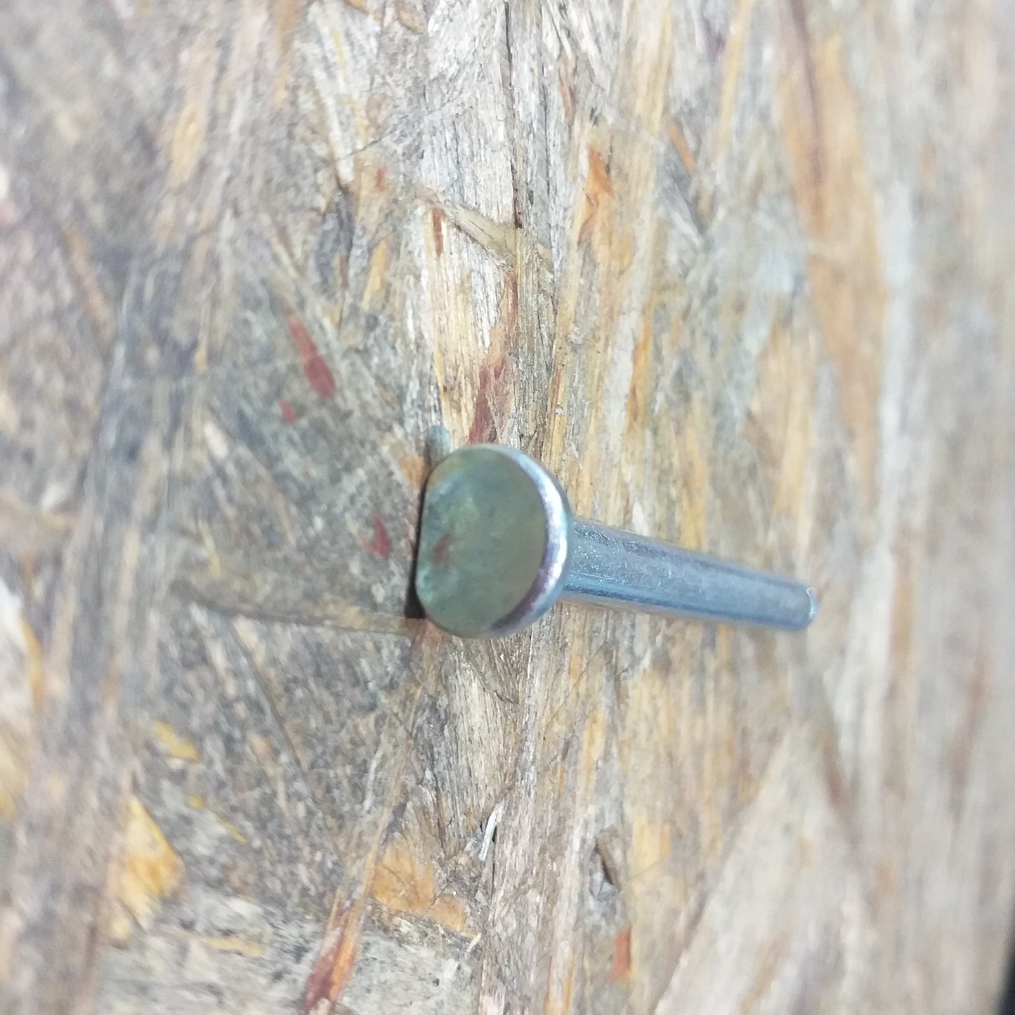 Chevrolet Malibu LT Scharnierbolzen original GM Opel NEU