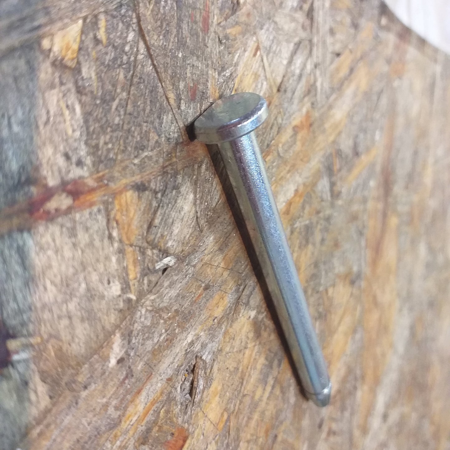 Chevrolet Malibu LT Scharnierbolzen original GM Opel NEU