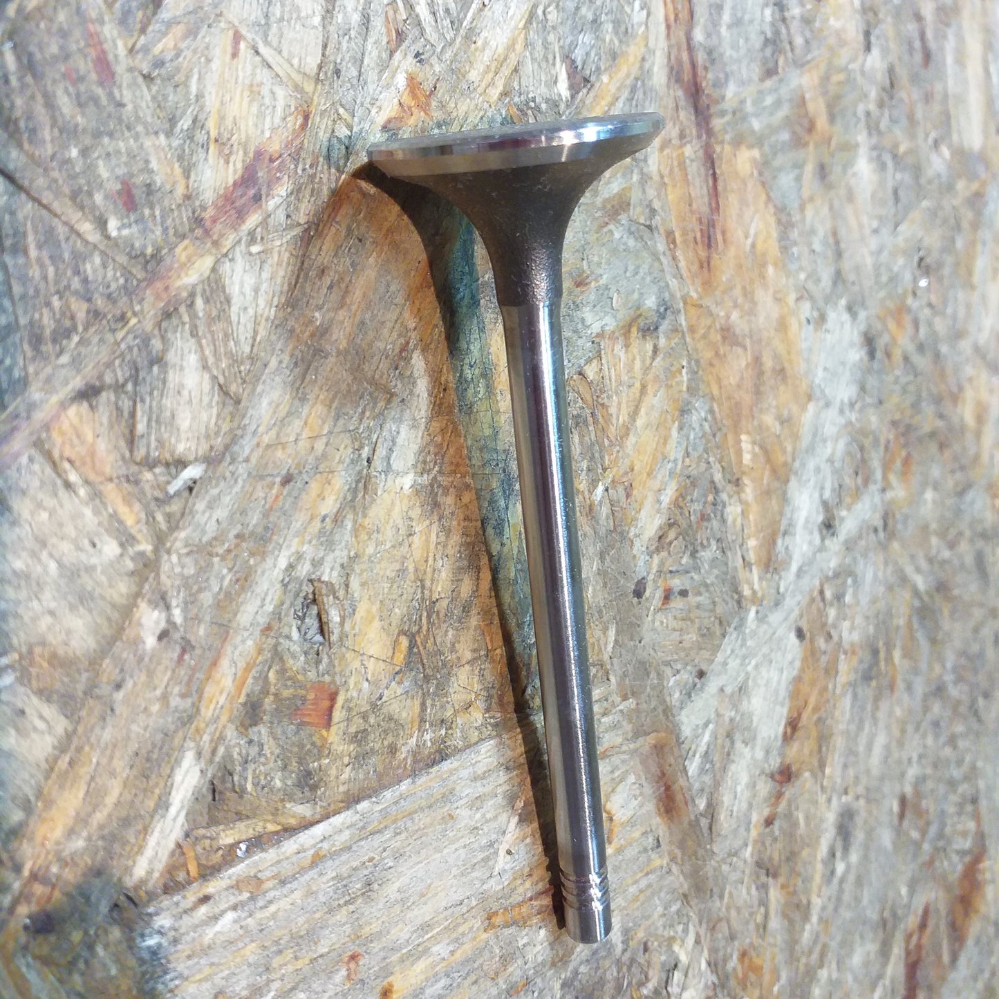 Opel Antara Chevrolet Captiva, Cruze 2.0D Einlassventil original GM Opel NEU