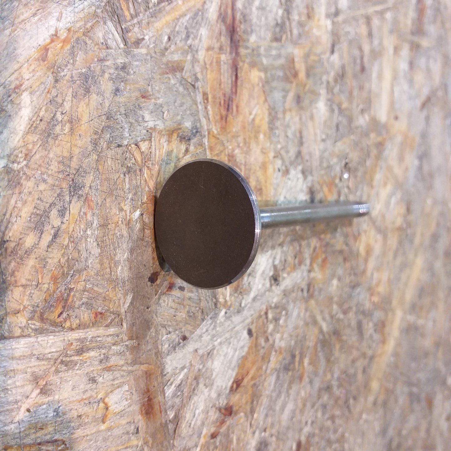 Opel Antara Chevrolet Captiva, Cruze 2.0D Einlassventil original GM Opel NEU