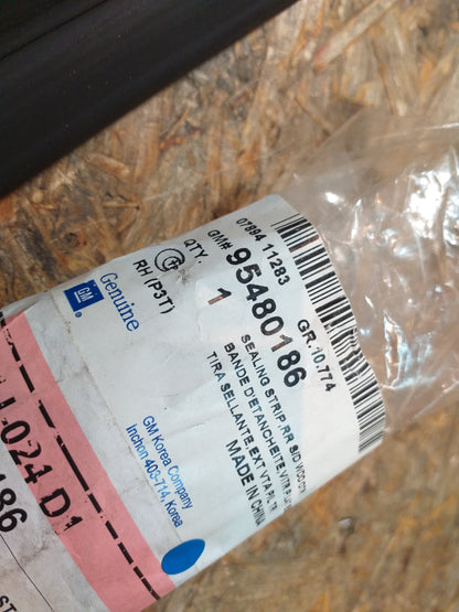 Chevrolet Sonic Zierstreigen Dichtstreifen original GM NEU