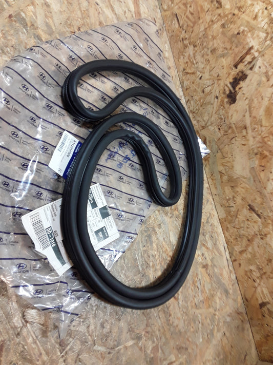 Hyundai ix20 Türdichtungsgummi rechts hinten ab Bj 12.2 original Hyundai NEU