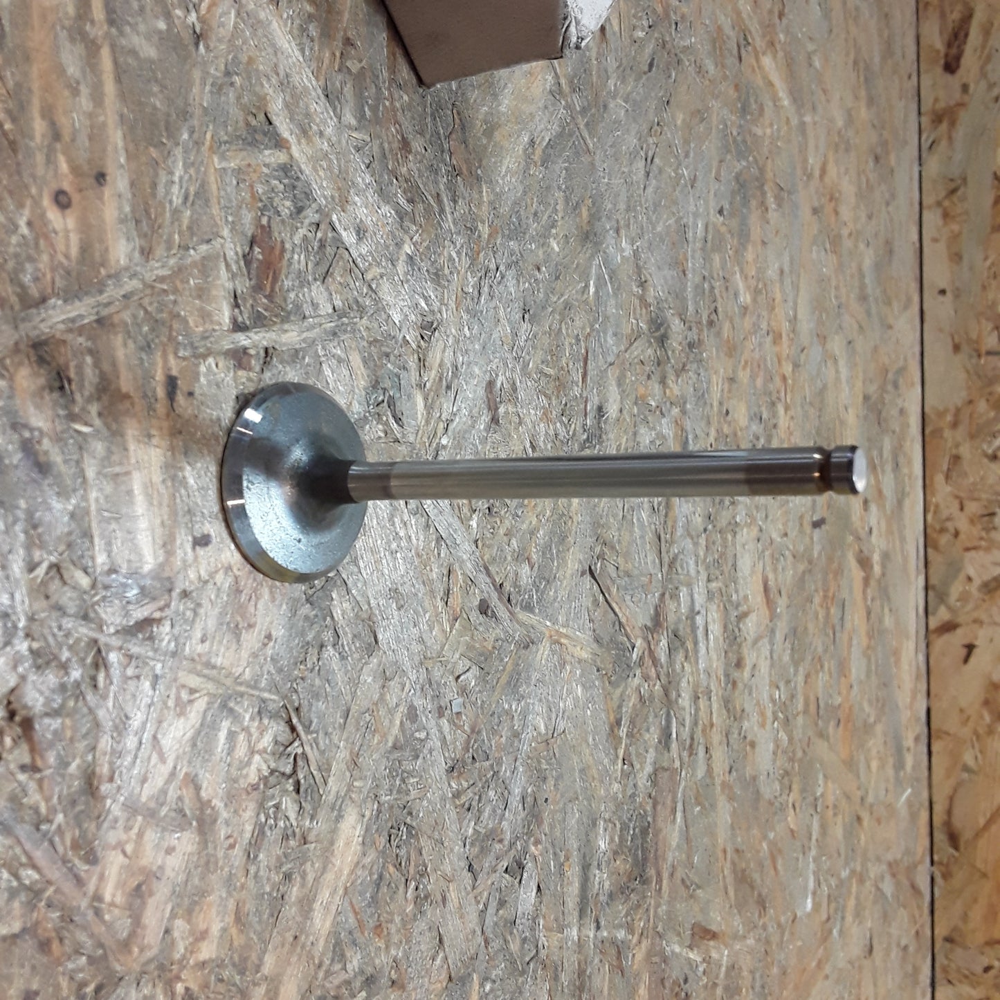 Astra 1,4l Einlassventil original GM Opel NEU