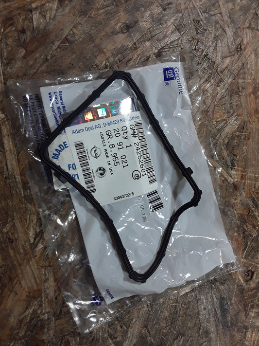 Ampera Dichtung Innenleuchte original GM Opel NEU