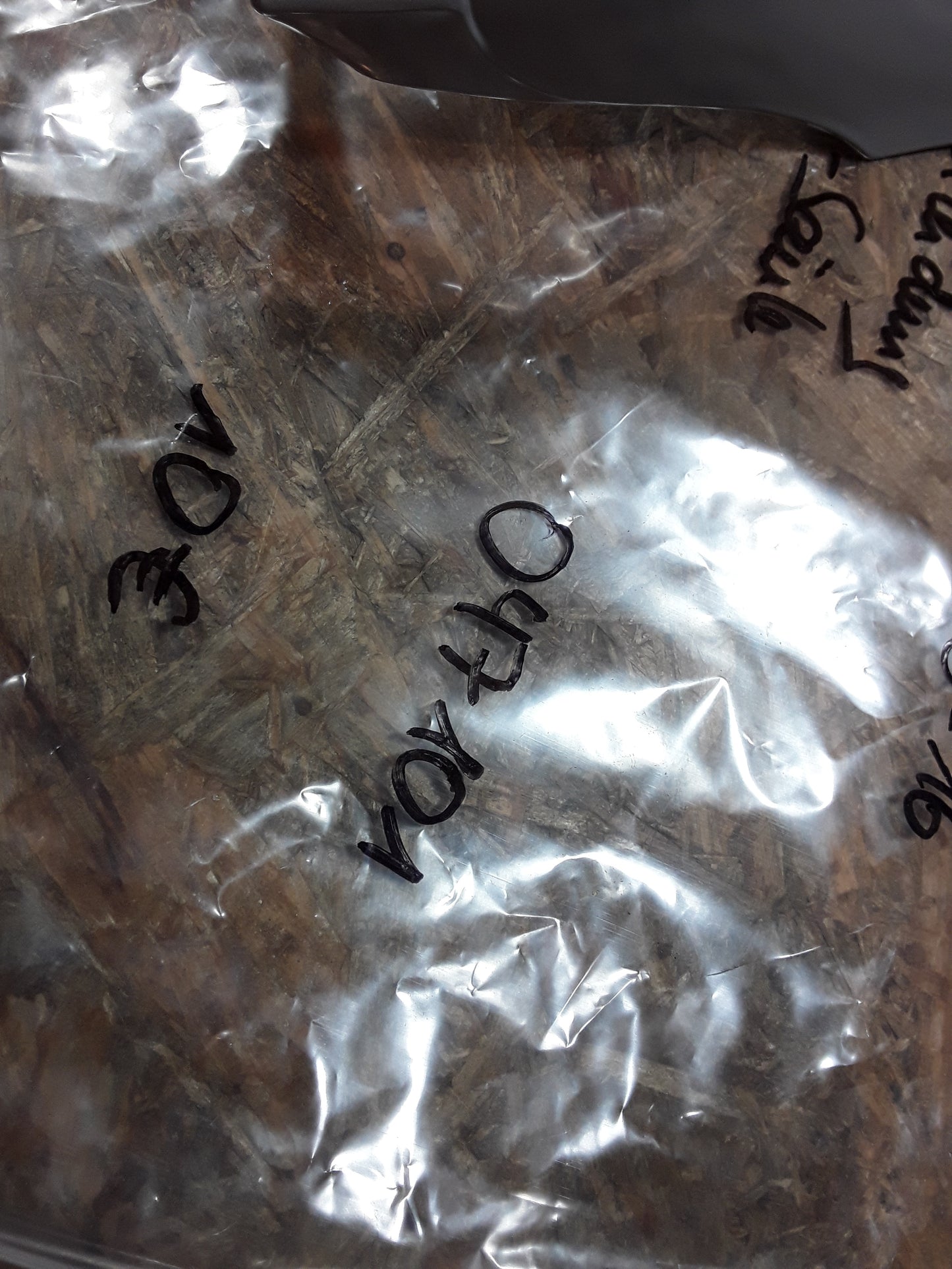 Insignia 08-16 BJ Verkleidung A-Säule original GM Opel NEU