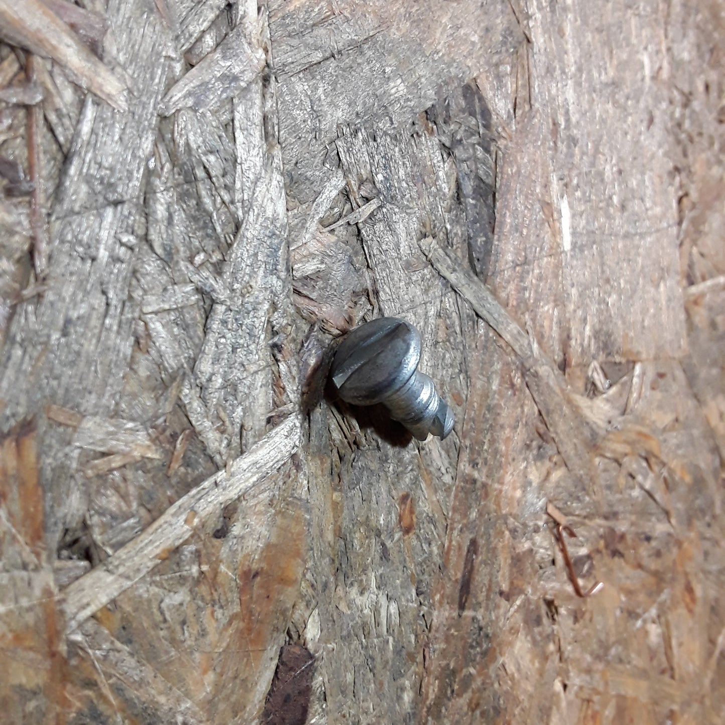 Astra G C18XE X18XE C18XEL Zapfen Motorraum Isolierung Kappe original GM Opel NEU