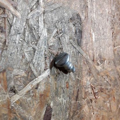 Astra G C18XE X18XE C18XEL Zapfen Motorraum Isolierung Kappe original GM Opel NEU