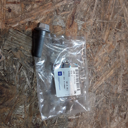 Insignia A/B Schraube an Stoßdämpfer original GM Opel NEU