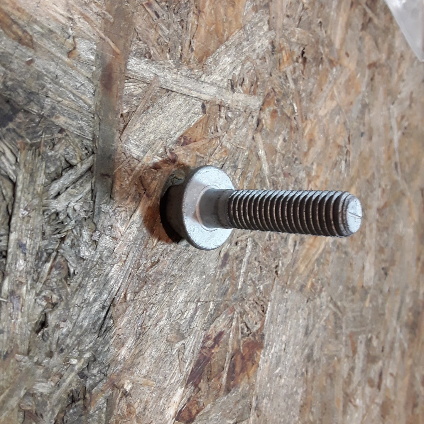 Insignia A/B Schraube an Stoßdämpfer original GM Opel NEU