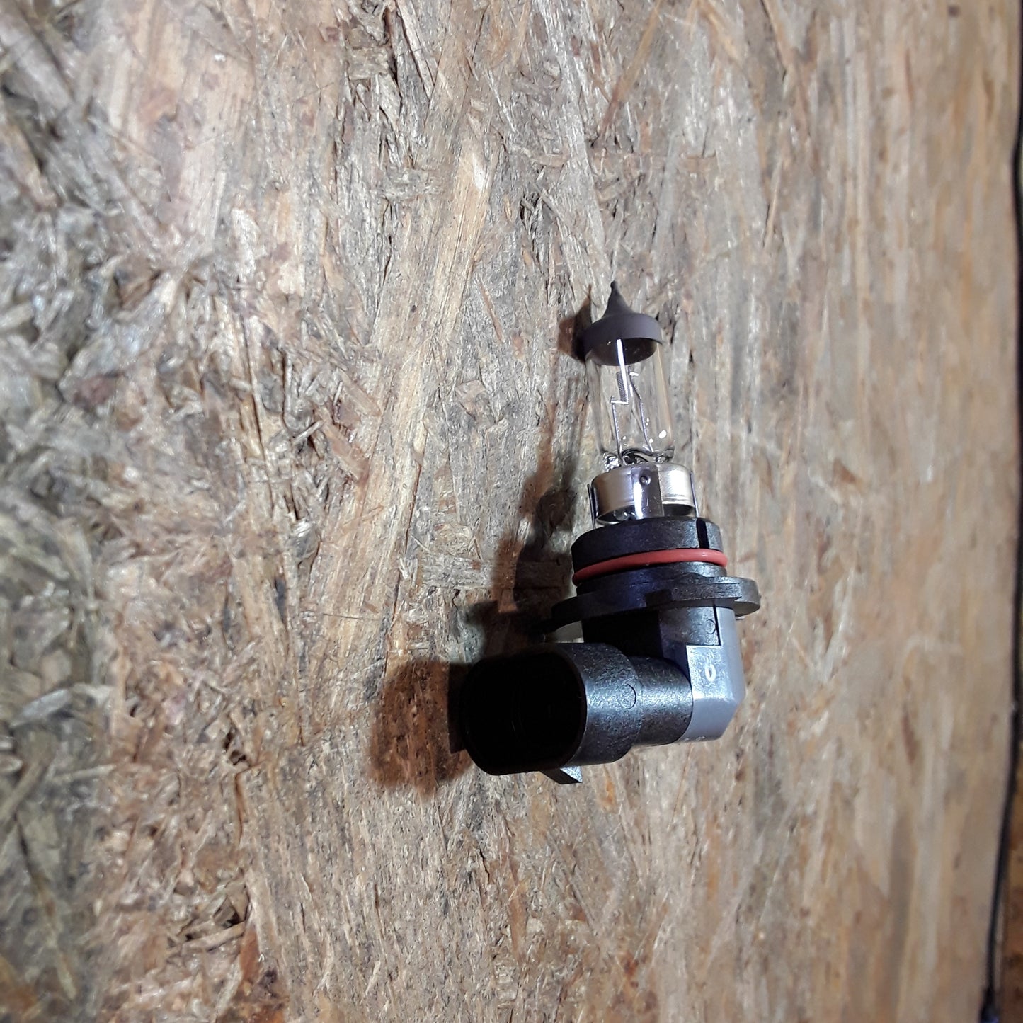 Pontiac Trans- Sport 93-97 und andere Glühlampe halogen original Delco Opel NEU