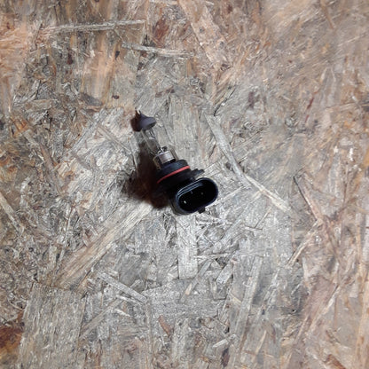 Pontiac Trans- Sport 93-97 und andere Glühlampe halogen original Delco Opel NEU