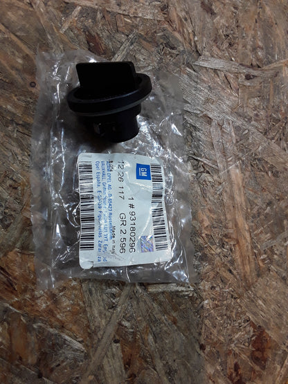 Insignia Lampenfassung Blinkerleuchte original GM Opel NEU