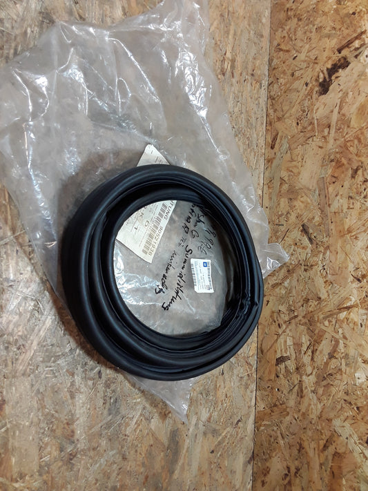 Astra G Gummiabdichtung Türe hinten rechts original GM Opel NEU