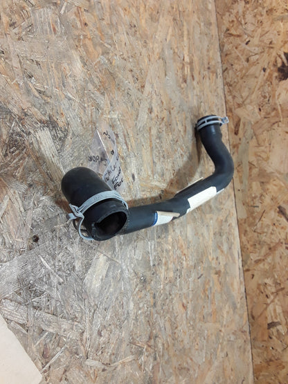 Ford Focus Kühlerschlauch original Ford NEU