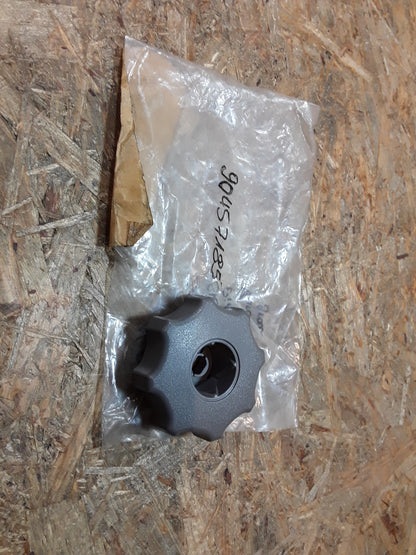 Senator Sterngriff Einstellung Vorderrücken grau original GM Opel NEU