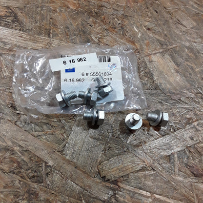 Vectra C Schraubensatz Wandler an Antriebsscheibe original GM Opel NEU