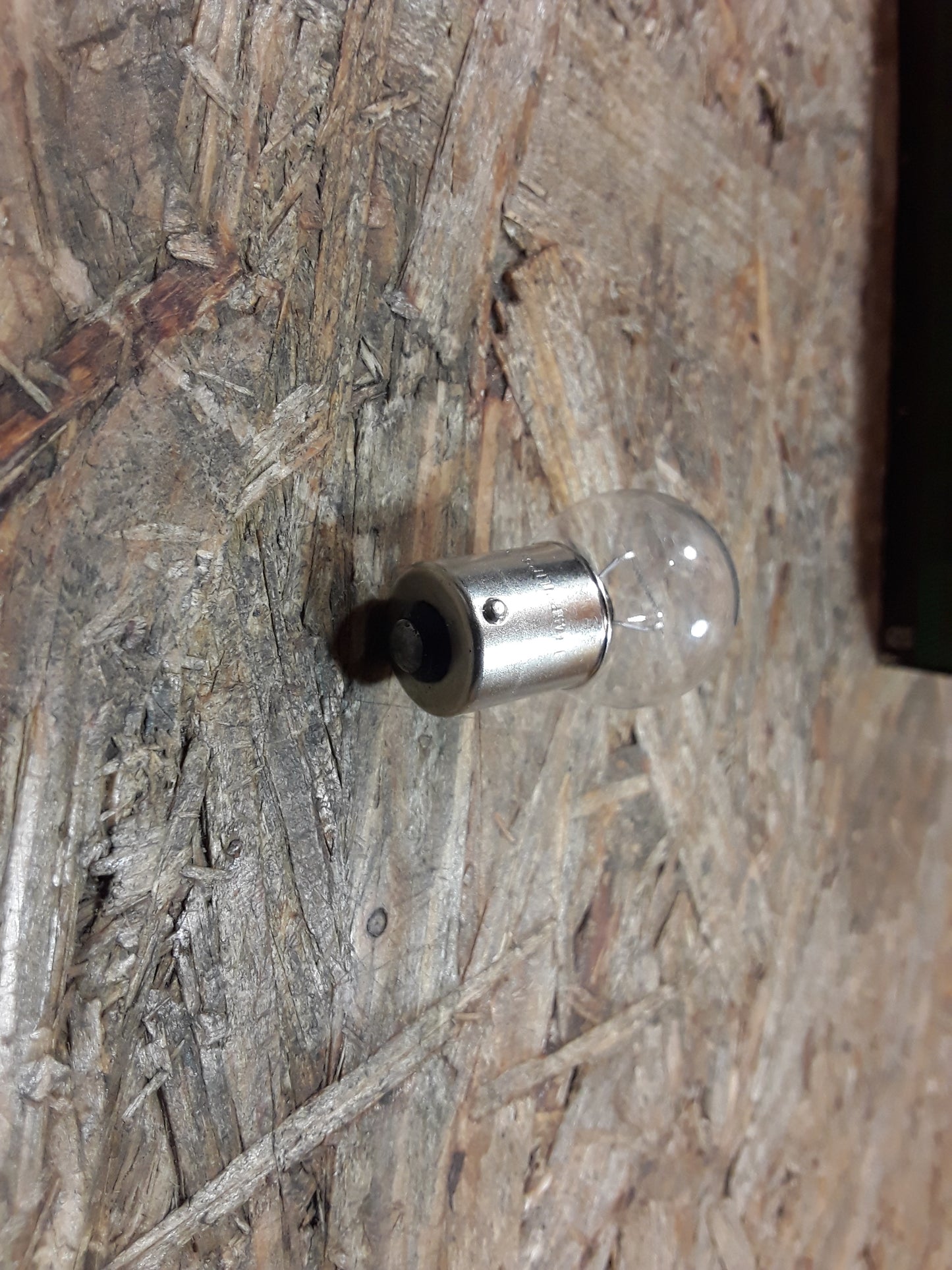 Diverse Modelle Glühlampe/  Leuchtmittel original GM Opel NEU
