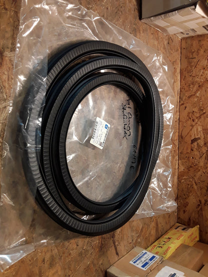 Omega Stufenheck Türgummi hinten links anthrazit original GM Opel NEU