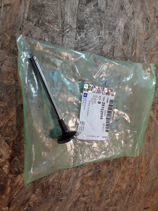 Chevrolet Aveo Ausgleichsventil original GM Opel NEU