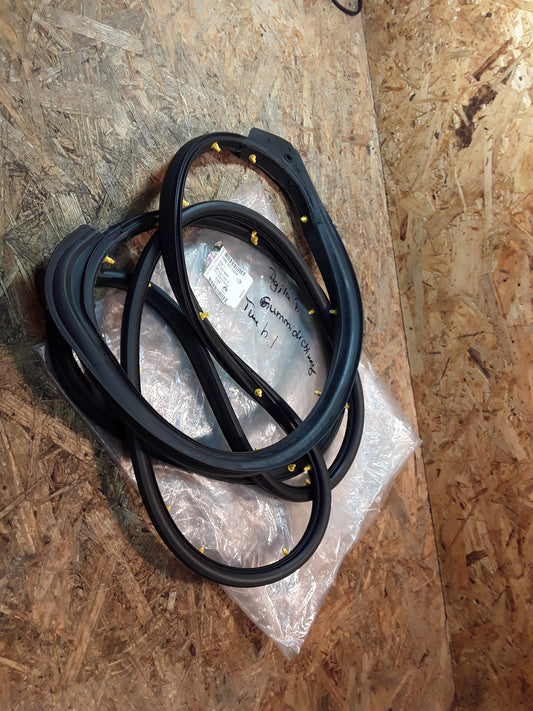Agila A Gummiabdichtung Türe hinten links original GM Opel NEU