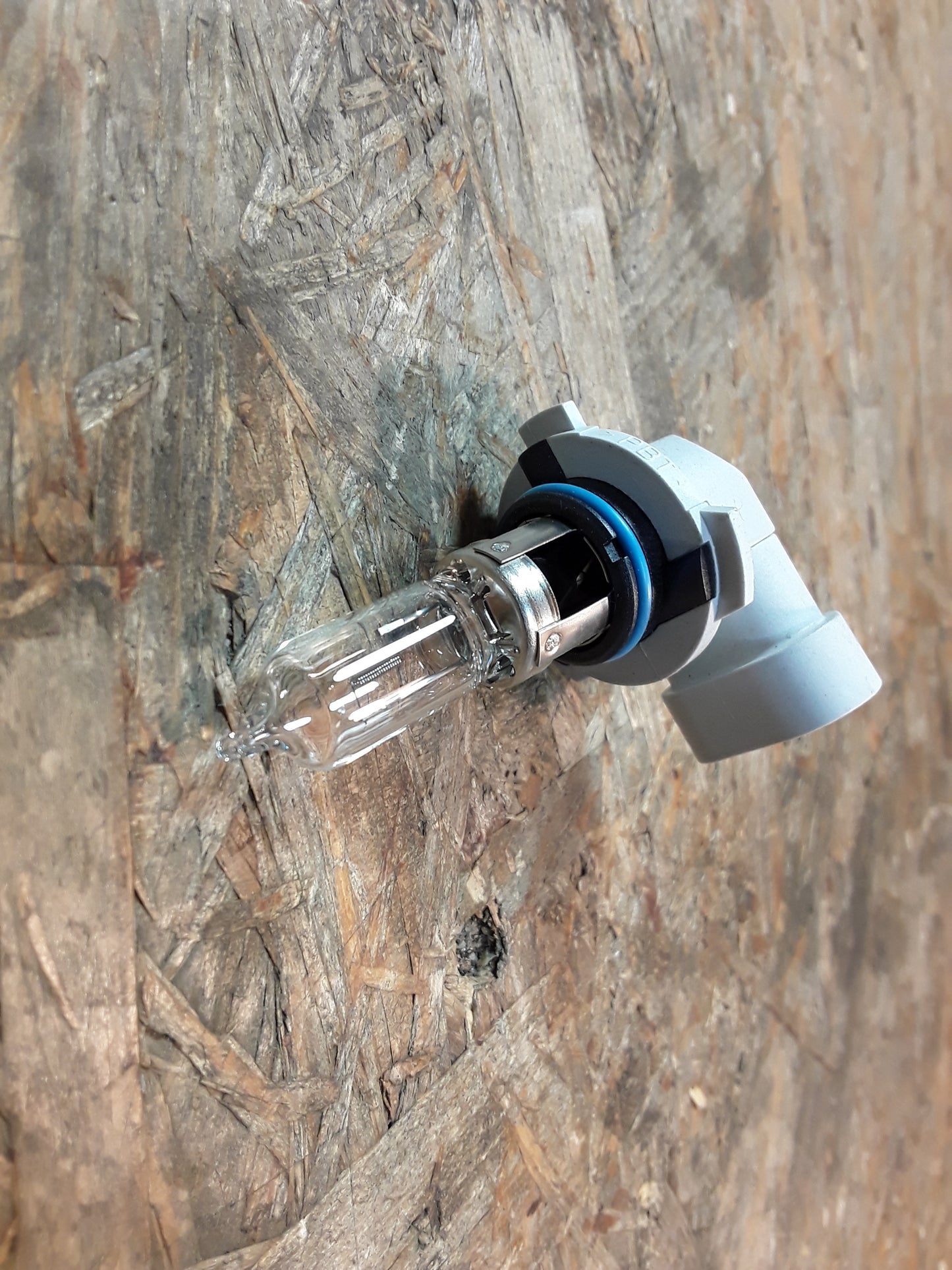 Astra G Mokka Zafira Glühbirne für Fernlicht original GM Opel NEU